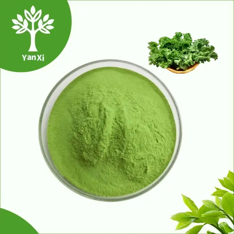 Kale Powder Bulk Kale Powder Bulk